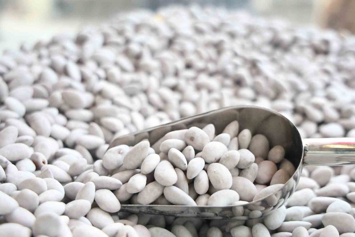 &lsquo;Beyaz altın&rsquo; raflara &ccedil;ıktı