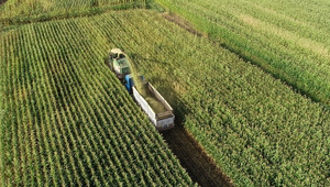 Tam 4,5 İstanbul b&uuml;y&uuml;kl&uuml;ğ&uuml;nde! Sofraları doğrudan etkiliyor