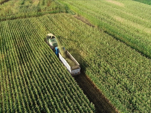 Tam 4,5 İstanbul b&uuml;y&uuml;kl&uuml;ğ&uuml;nde! Sofraları doğrudan etkiliyor