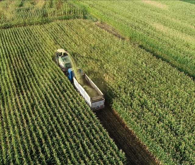 Tam 4,5 İstanbul b&uuml;y&uuml;kl&uuml;ğ&uuml;nde! Sofraları doğrudan etkiliyor