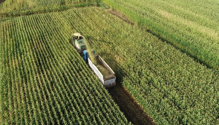 Tam 4,5 İstanbul b&uuml;y&uuml;kl&uuml;ğ&uuml;nde! Sofraları doğrudan etkiliyor