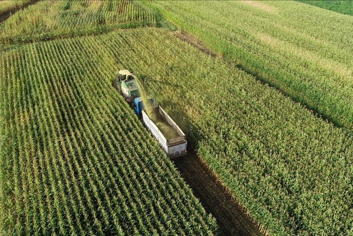 Tam 4,5 İstanbul b&uuml;y&uuml;kl&uuml;ğ&uuml;nde! Sofraları doğrudan etkiliyor