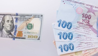 D&ouml;viz D&ouml;n&uuml;ş&uuml;ml&uuml; KKM  40 milyon dolara geriledi