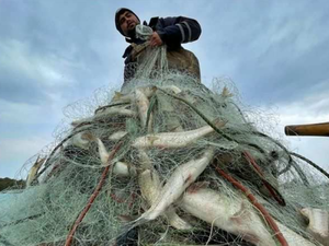 Av yasağı başladı: Tekneler karaya &ccedil;ekildi