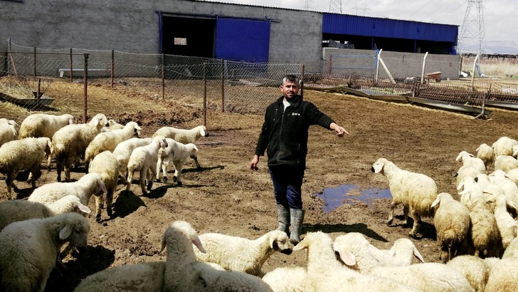 80 bin lira maaş var ama &ccedil;oban yok