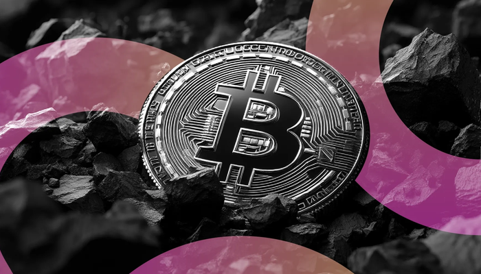 Japonya&rsquo;dan Dev Bitcoin Hamlesi: 5.075 BTC Aldı