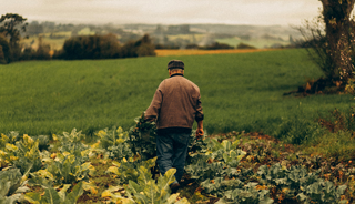 G&uuml;brede g&uuml;mr&uuml;k vergileri sıfırlandı