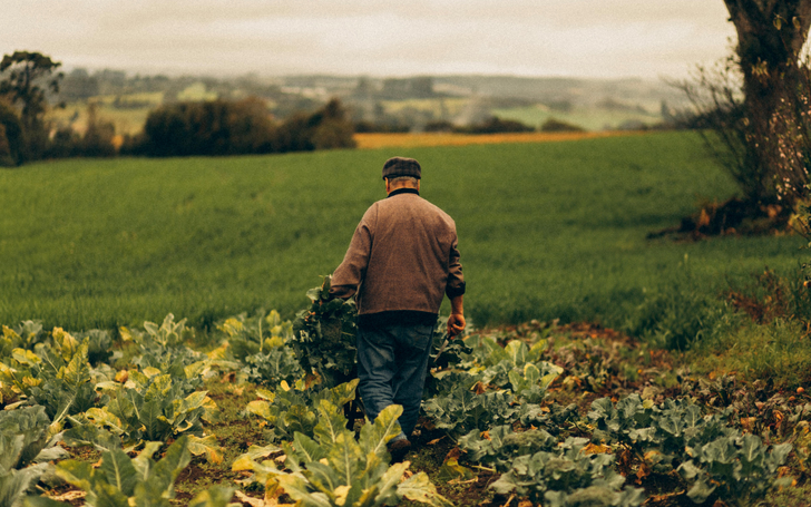 G&uuml;brede g&uuml;mr&uuml;k vergileri sıfırlandı