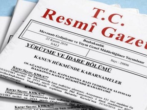 10 şirkete "dış ticaret sermaye şirketi" stat&uuml;s&uuml; verildi! Karar Resmi Gazete'de