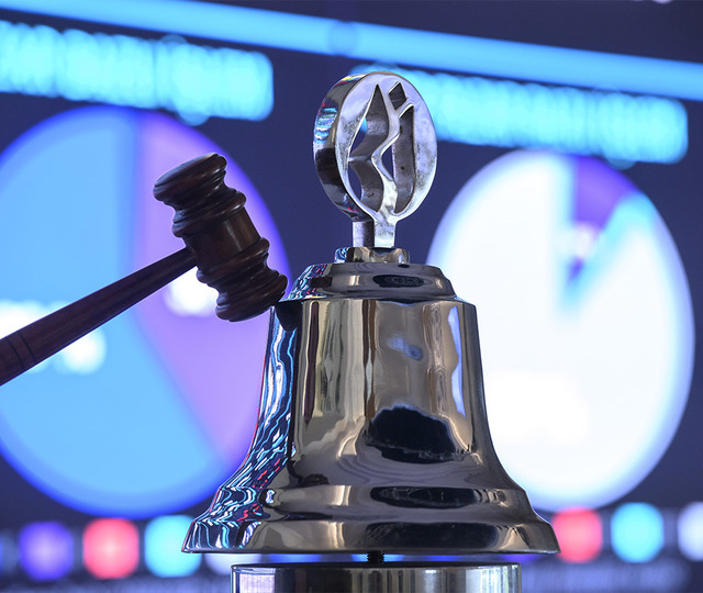 Halka arz başvurusunu askıya alan 15 şirketin g&uuml;ncel listesi