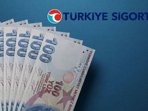 T&uuml;rkiye Sigorta'dan (TURSG) 53,8 milyar TL'lik prim &uuml;retimi