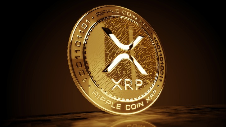 XRP'nin 10 yıllık d&ouml;ng&uuml;s&uuml;: Her d&uuml;ş&uuml;ş bir sonraki rallinin fitilini ateşledi