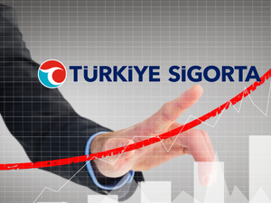 TURSG bedelsiz i&ccedil;in SPK&rsquo;ya gitti: Hisseler 2 katına &ccedil;ıkıyor