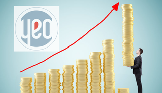 YEO Teknoloji kâr payıyla temettü değil, bedelsiz verecek