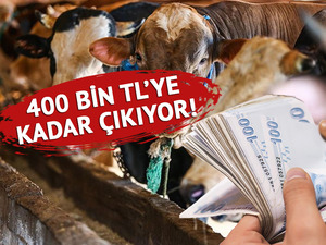 Bu yıl kurbanlık ka&ccedil; TL? İşte 2026 fiyatları