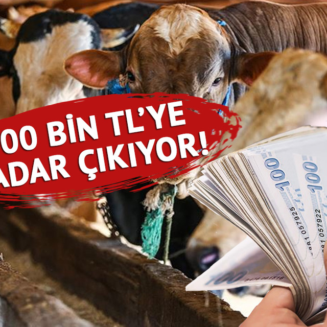 Bu yıl kurbanlık ka&ccedil; TL? İşte 2026 fiyatları