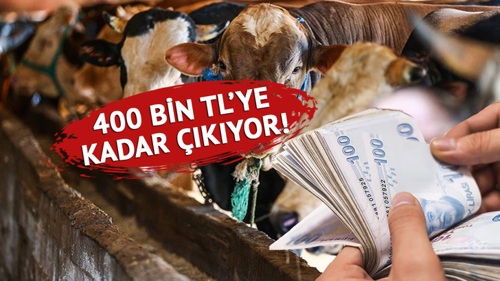 Bu yıl kurbanlık ka&ccedil; TL? İşte 2026 fiyatları