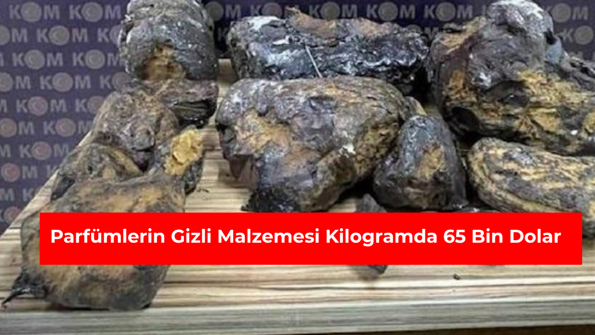 Parfümlerin gizli malzemesi kilogramda 65 bin dolar