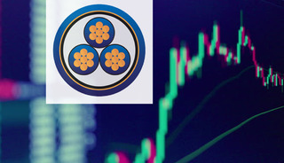 Alves Kablo (ALVES)'da y&uuml;zde 12,5 pay i&ccedil;in blok satış kararı