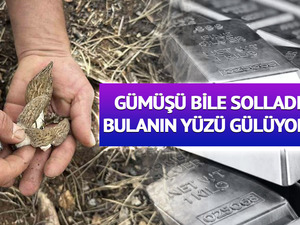 Topraktan &ccedil;ıkan hazine: Fiyatıyla g&uuml;m&uuml;ş&uuml; geride bıraktı
