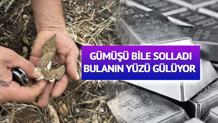 Topraktan &ccedil;ıkan hazine: Fiyatıyla g&uuml;m&uuml;ş&uuml; geride bıraktı