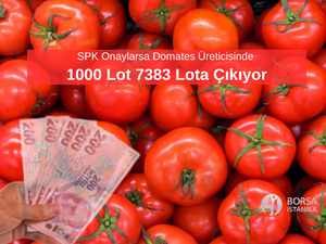 SPK Onaylarsa MERKO'da 1000 Lot 7383 Lota &Ccedil;ıkıyor