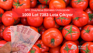 SPK Onaylarsa MERKO'da 1000 Lot 7383 Lota &Ccedil;ıkıyor