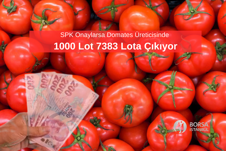 SPK Onaylarsa MERKO'da 1000 Lot 7383 Lota &Ccedil;ıkıyor
