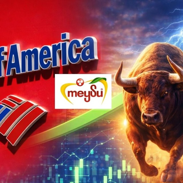 MEYSU'da &ccedil;ifte gelişme: Hem tavan oldu hem de ihaleyi kaptı