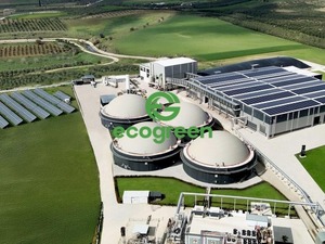 ECOGR temett&uuml; dağıtacak mı? Karar geldi