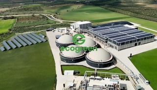 ECOGR temett&uuml; dağıtacak mı? Karar geldi