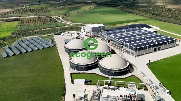 ECOGR temett&uuml; dağıtacak mı? Karar geldi