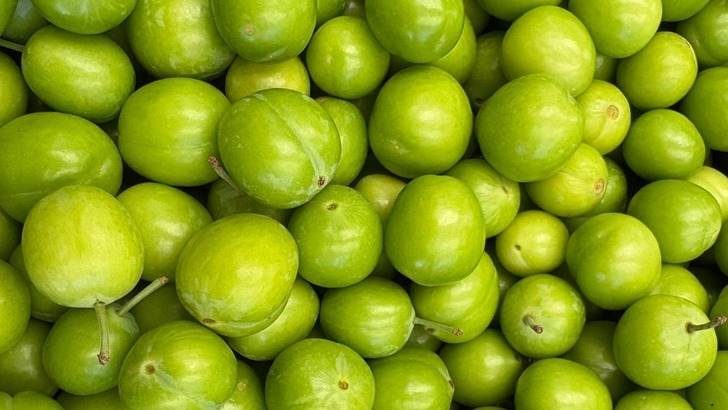10 bin TL'ye satılıyordu... Hasat başladı, fiyat d&uuml;şt&uuml;