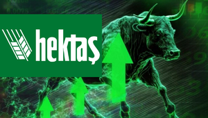 Hektaş&rsquo;ta (HEKTS) tavan serisi s&uuml;r&uuml;yor