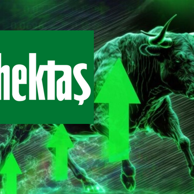 Hektaş&rsquo;ta (HEKTS) tavan serisi s&uuml;r&uuml;yor
